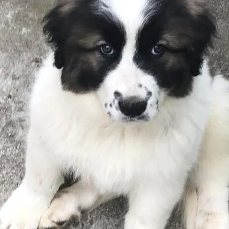 Rin Garden Апартаменты Бухарест