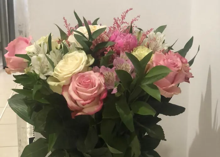 Rin Garden * Bukurešť