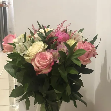 Rin Garden * Boekarest